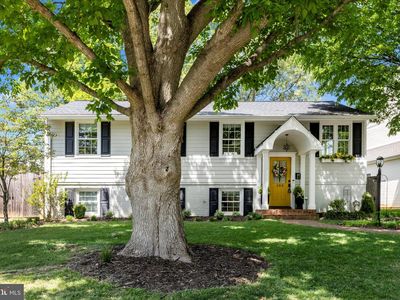 103 North St, Rockville, MD, 20850