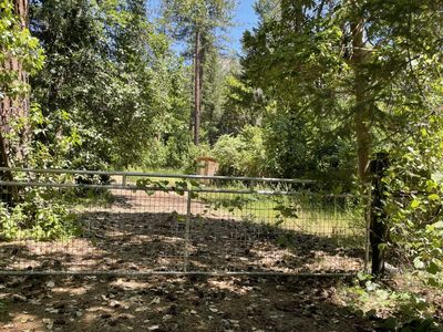 1460 Lake Rd, Junction City CA - Owner Finance Home