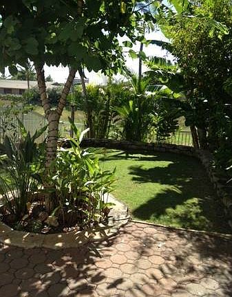 Back Yard / Patio