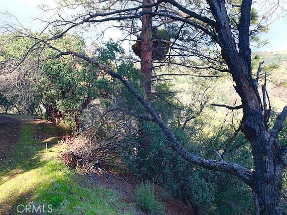 2nd image of 7333 Tehama St #37