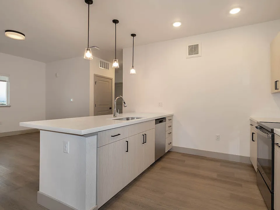 Kitchen and Living Area with Hard Surface Flooring
