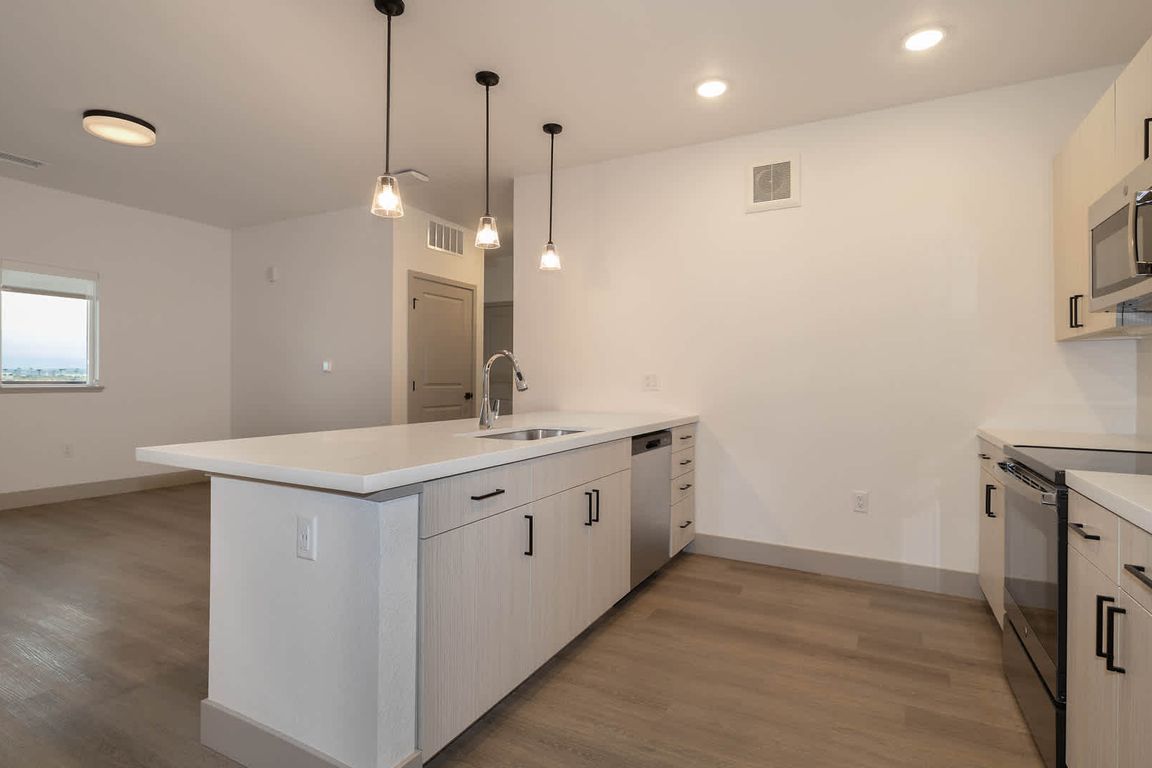 Kitchen and Living Area with Hard Surface Flooring