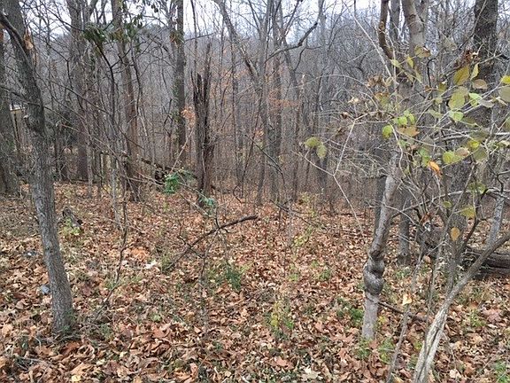 5th image of 1917 Appomattox Dr