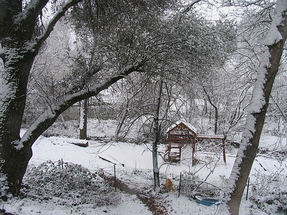 view from house toward playground/seasonal creek/year round pond