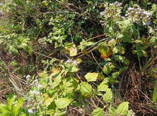 0 NE 64  Avenue Ne, Naples, FL 34120