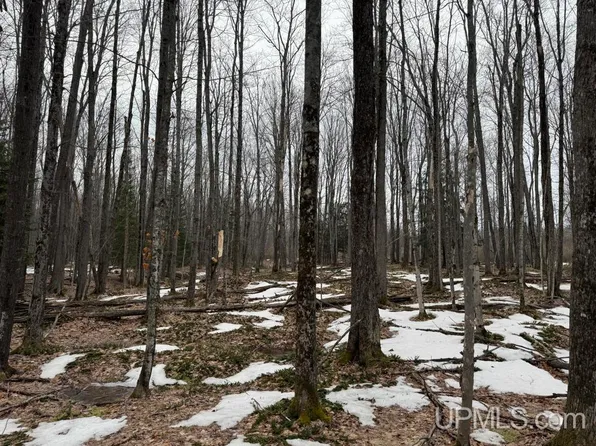 Tbd Waisanen Rd, L'anse, MI 49946