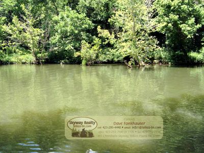 Welch Rd, Tellico plains, TN, 37385