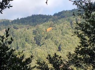 81 Thistle Ct, Whitethorn, CA 95589