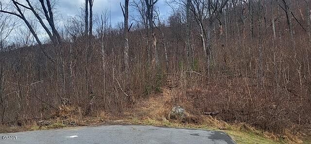 1st image of 703 Topside Rd Lot 3/04