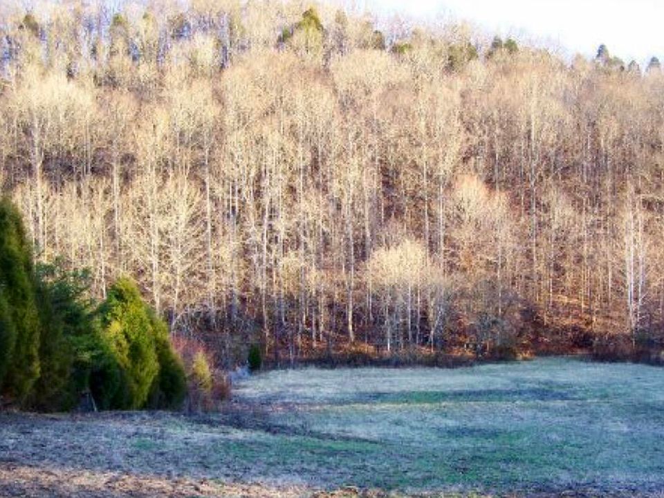 2nd image of 0 Byrams Fork Rd Lot 1