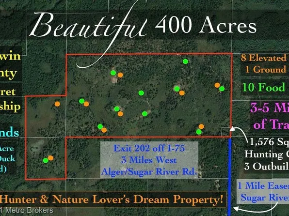 0 W Sugar River Rd, Alger, MI 48610