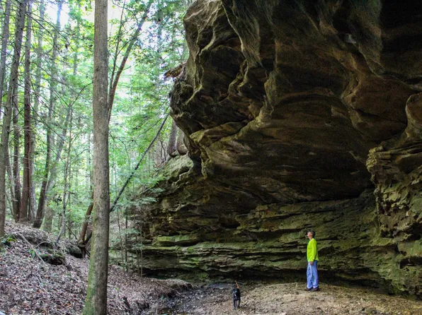 County Road 20 #1, Haleyville, AL 35565