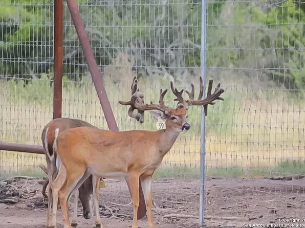 CR 227 N CR 227, Three Rivers 78071