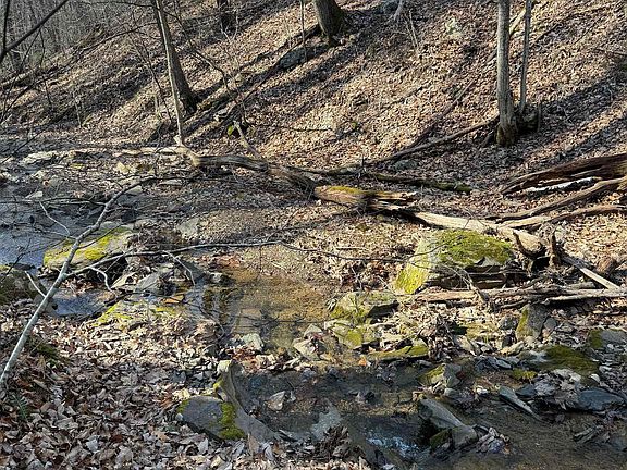 4th image of 6388 Centennial Rd