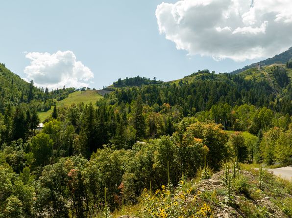 9685 N Mandan Rd, Provo, UT 84604