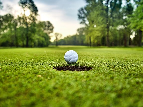 2nd image of 524 Badger Trl S