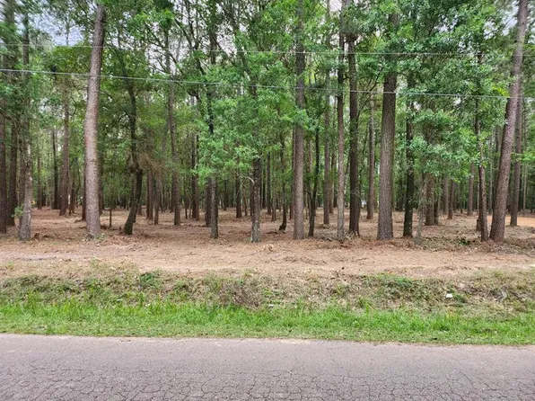15702 W Relza Drive, Splendora, TX 77372