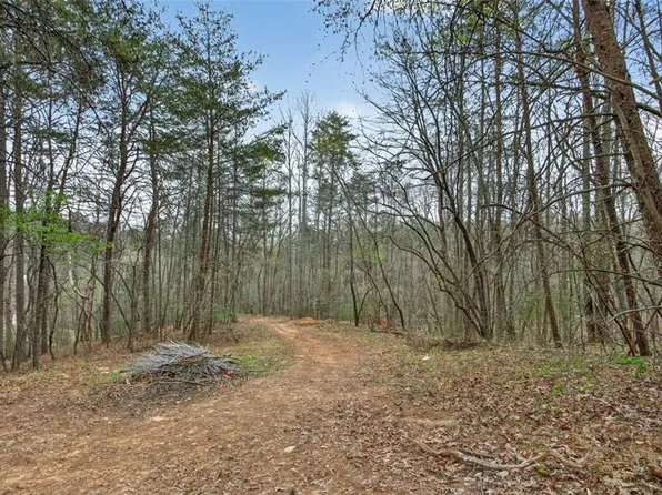 1812 Upper Bethany Rd, Ball Ground, GA 30107