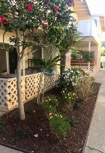 Garden Facing Rear of property