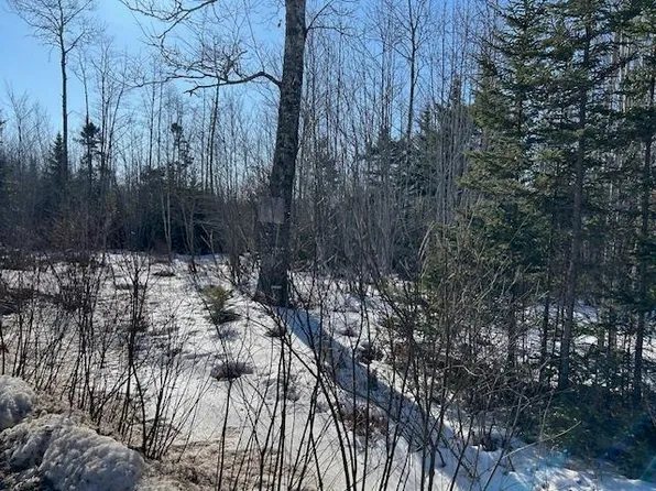 Greenfield Rd, Mosherville, NS B0N