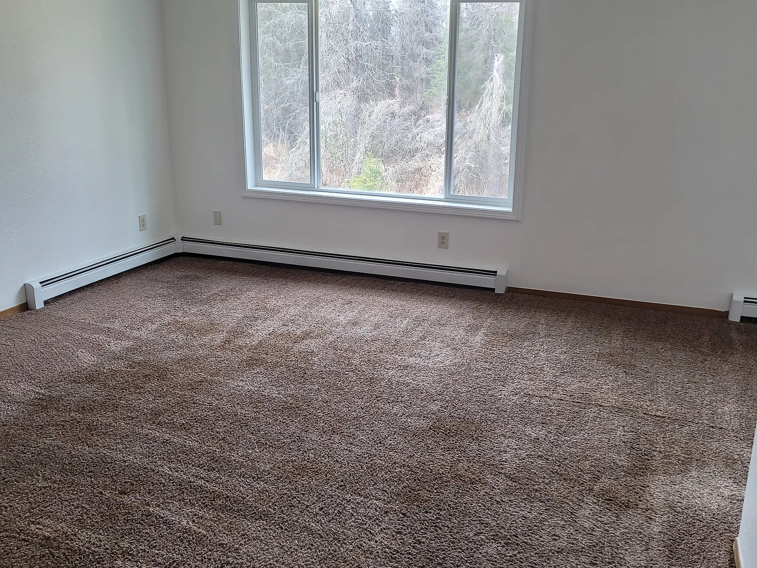 3 bed, $1,530 — Photo 3