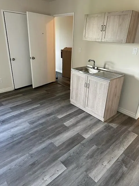 Studio, 250 sqft, $1,249 — Photo 2
