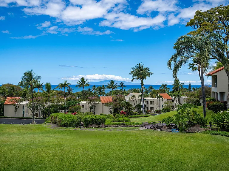 Wailea Alanui Dr — Photo 33