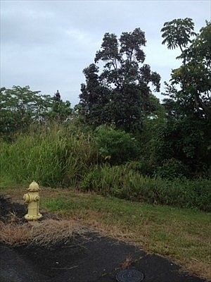 2nd image of Kukuau Mohouli Lot 180