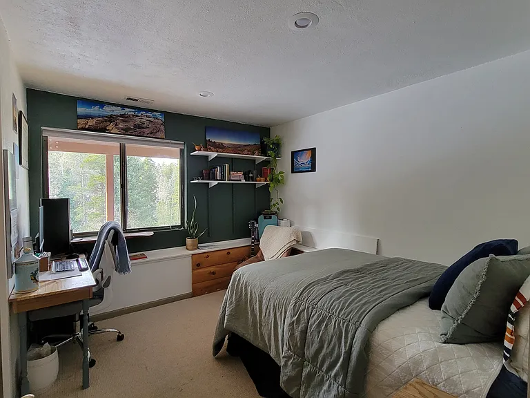 6782 Snowshoe Trl — Photo 16