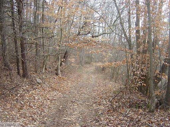 5th image of 0 Piney Grove Church Rd