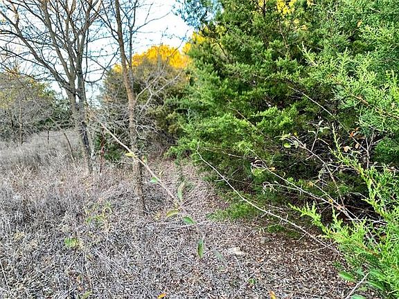 5th image of 8601 County Road 1233a