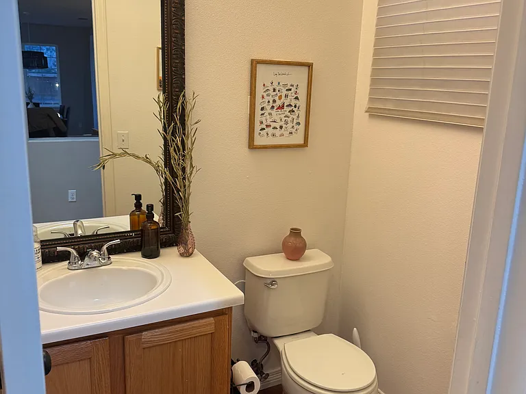 1419 Carlyle Park Cir — Photo 12