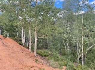 223 Sportsmans Ln, Divide, CO 80814