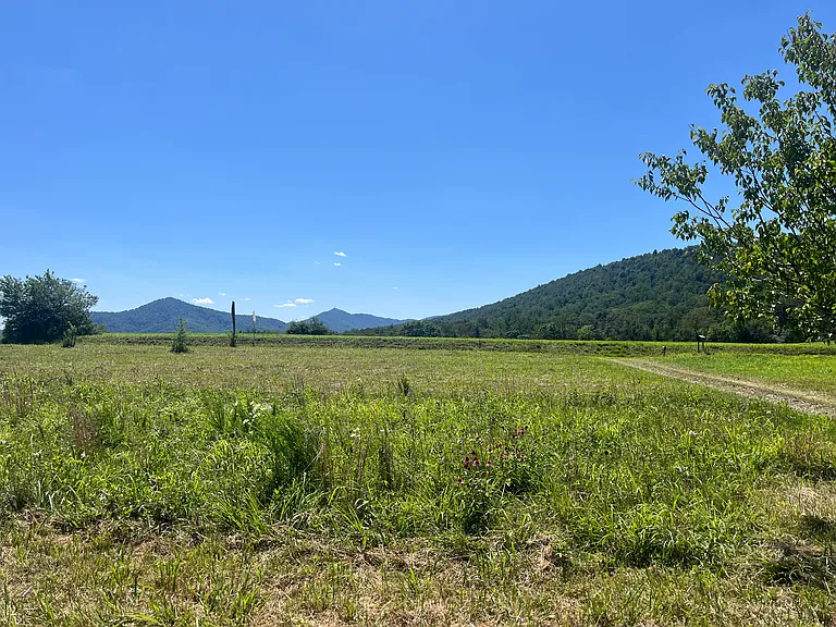 8810 Irish Rd — Photo 5