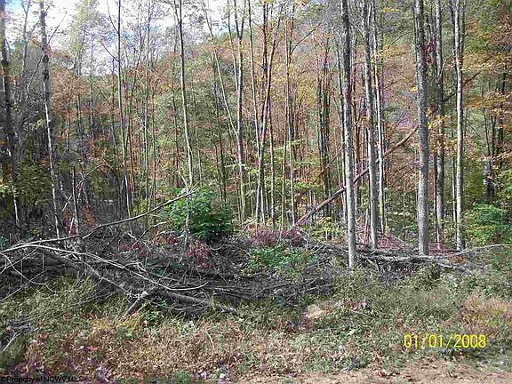 4th image of 1628 Morgantown Pike