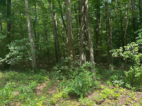 5th image of 631 Hawk Cir