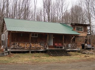 5156 Carr Rd, Willet, NY 13863