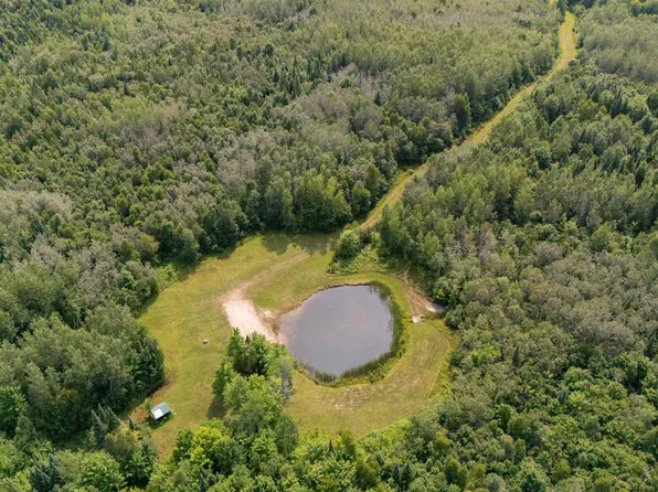 Townline Rd, Gulliver, MI 49840