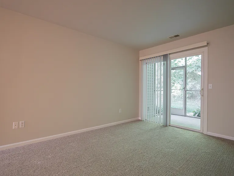 Living room (new carpet)