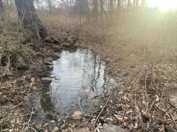 000 Ff Hwy, Everton, MO 65646