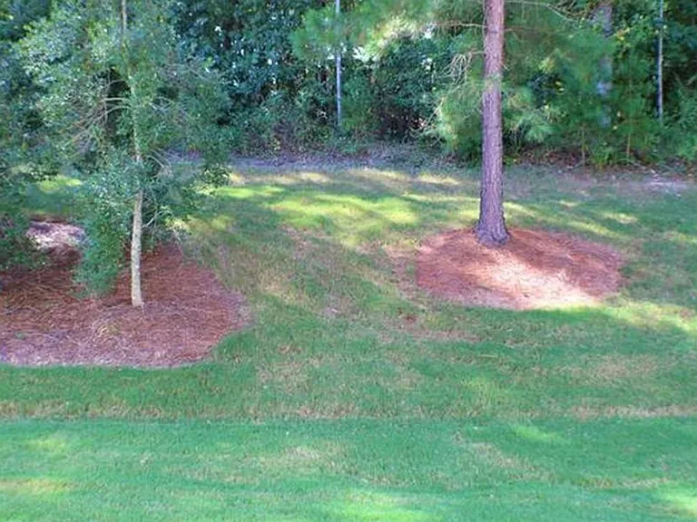 13955 Singleleaf Ln — Photo 4