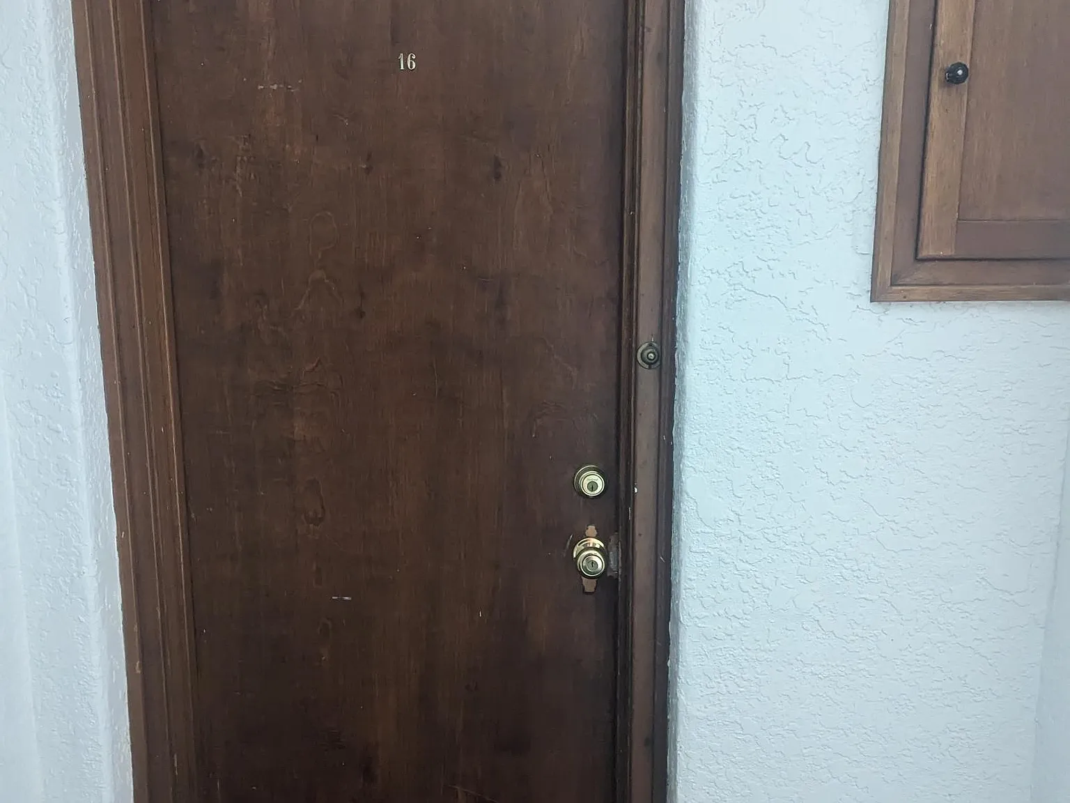 1 bed, 800 sqft, $950 — Photo 2