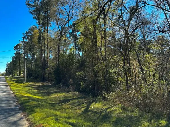 Lot46&48 Donald Rd, Leesburg, GA 31763