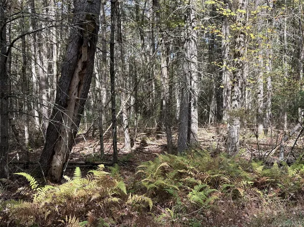 17 Lot 17 Desmond Crossing, Bethel, NY 12720