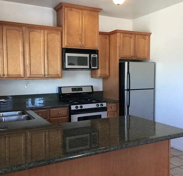 3769 Albatross St — Photo 4