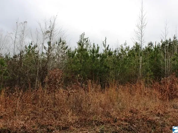 7 Quail Dr, Centre, AL 35960