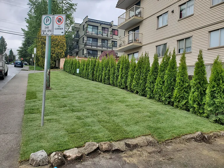 274 W 2nd St #207 — Photo 8