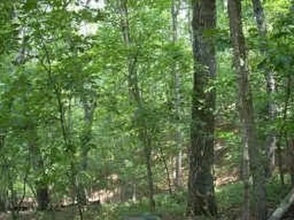 110 Morning Star Dr, Waleska, GA 30183