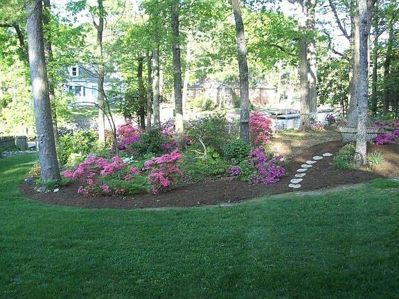 back yard