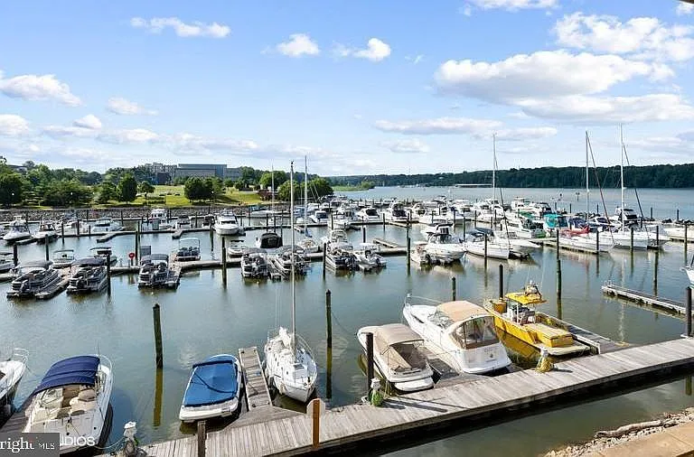 500 Belmont Bay Dr #205 — Photo 38